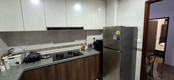 Dover Parkview (D5), Condominium #551726601